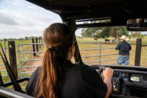Rancher driving a mule approaching a gate
